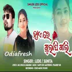 Haire Gulapi Gali-Koraputia